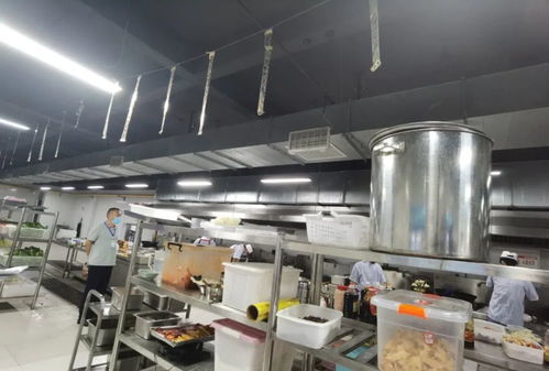 随机查餐厅 再出击 直击学校后厨